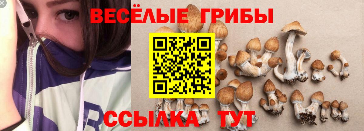 Галлюциногенные грибы MAGIC MUSHROOMS Северобайкальск