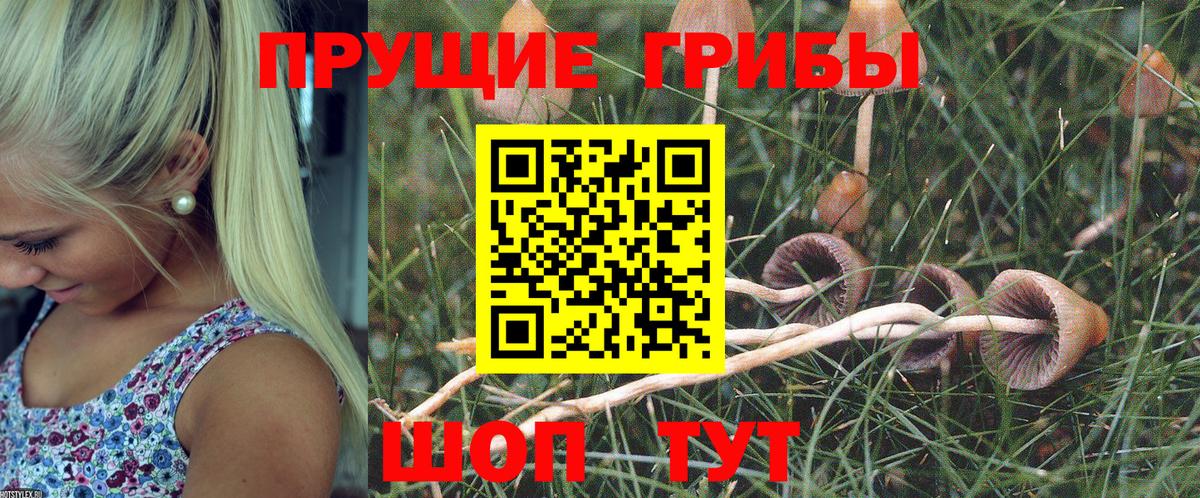 Галлюциногенные грибы мицелий  Псилоцибиновые грибы GOLDEN TEACHER  Северобайкальск  Вход с VPN 
